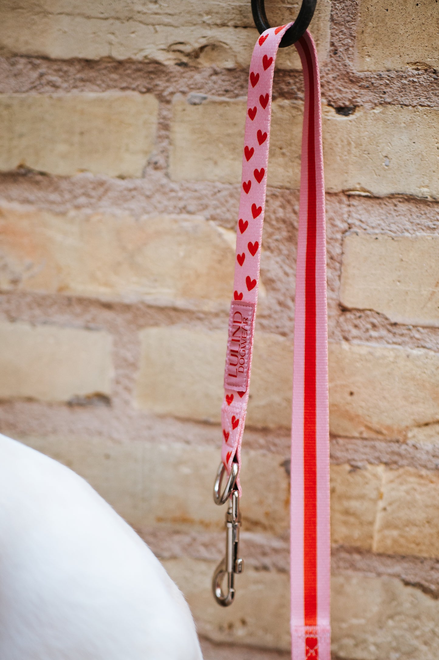 Heart Collar & Adjustable Leash Set