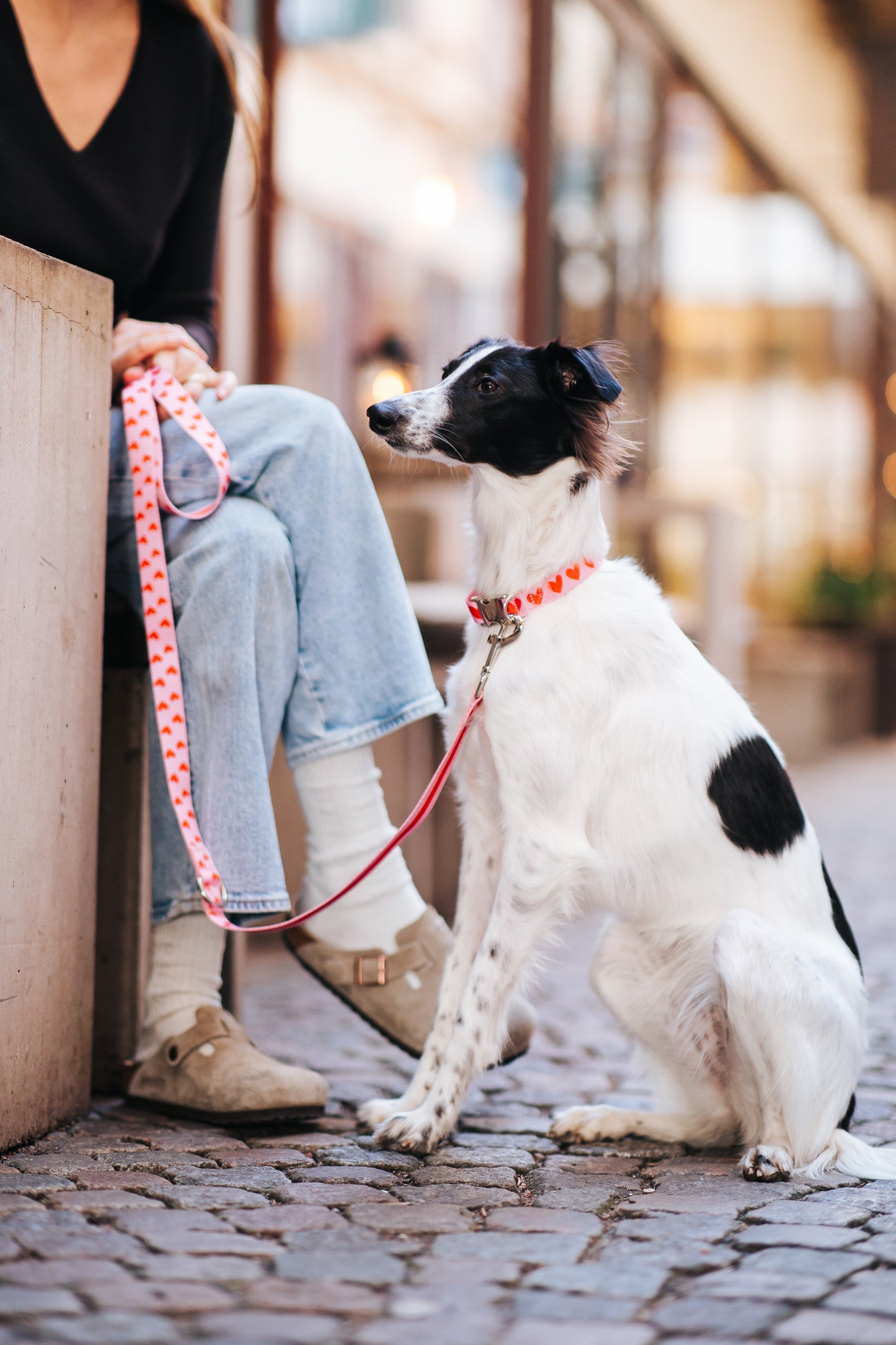Heart Collar & Adjustable Leash Set
