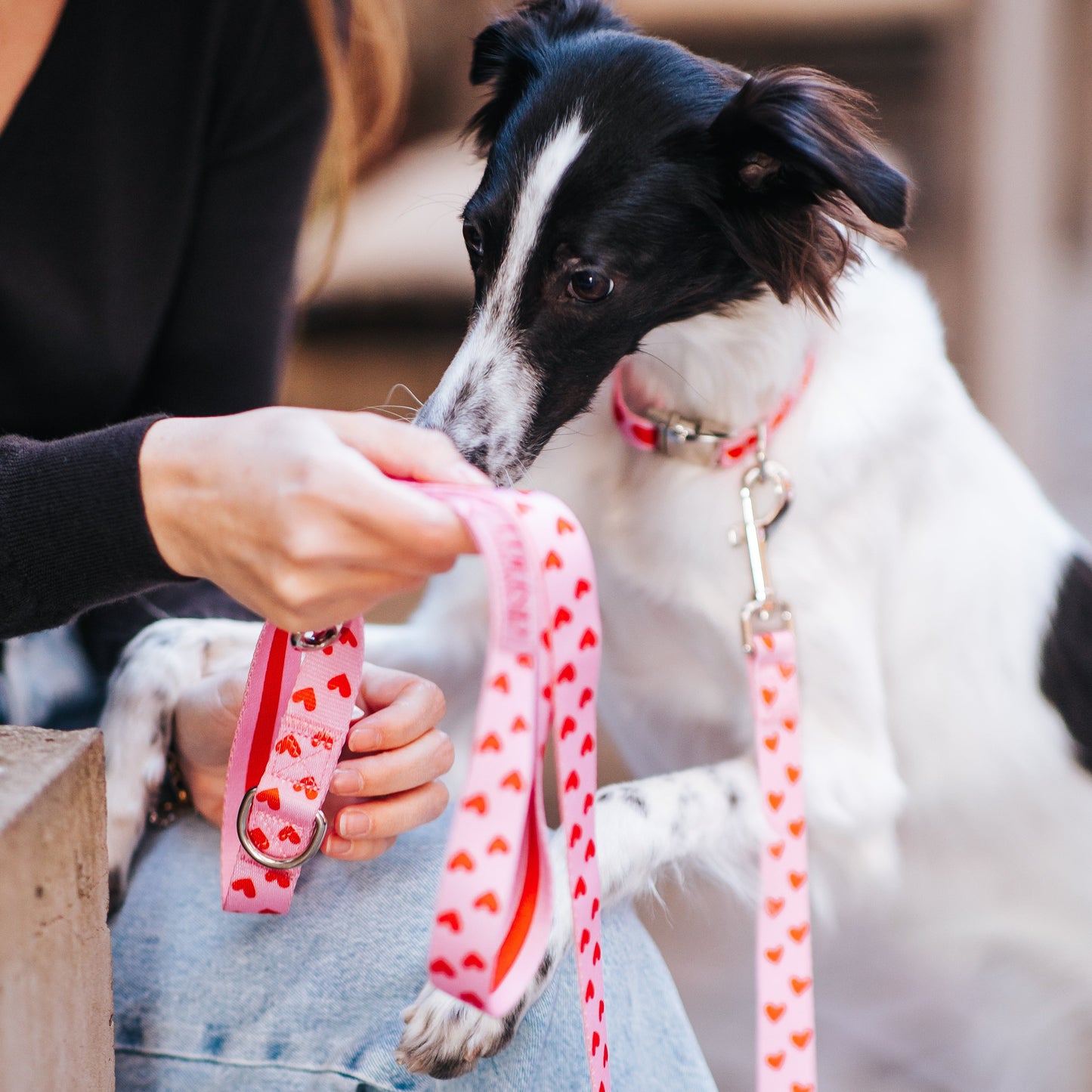 Heart Collar & Adjustable Leash Set