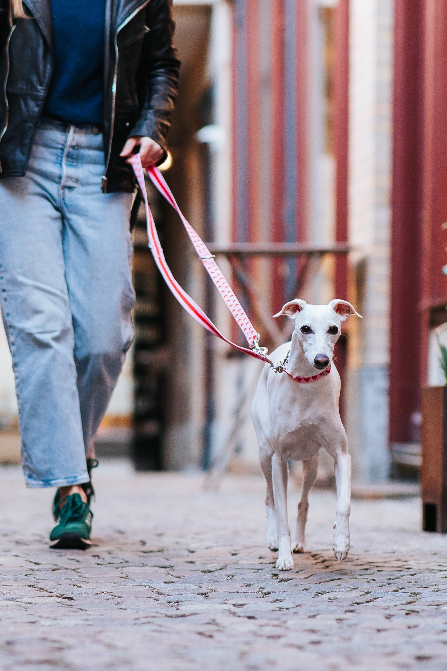 Heart Adjustable Dog Leash | Hands-Free & City-Ready