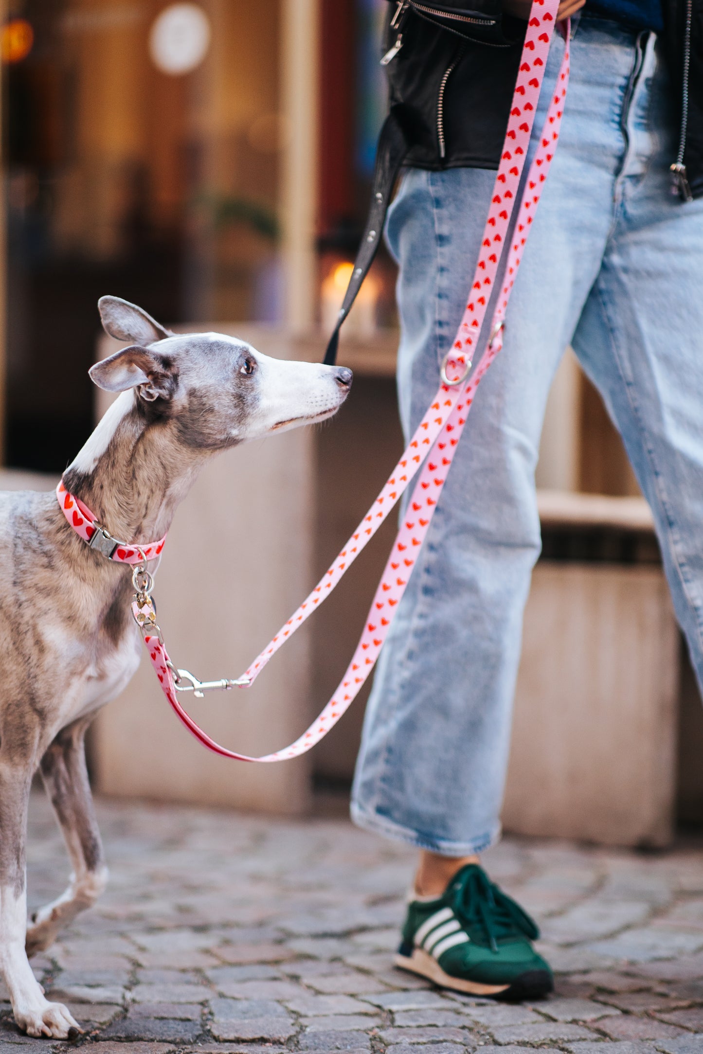 Heart Collar & Adjustable Leash Set