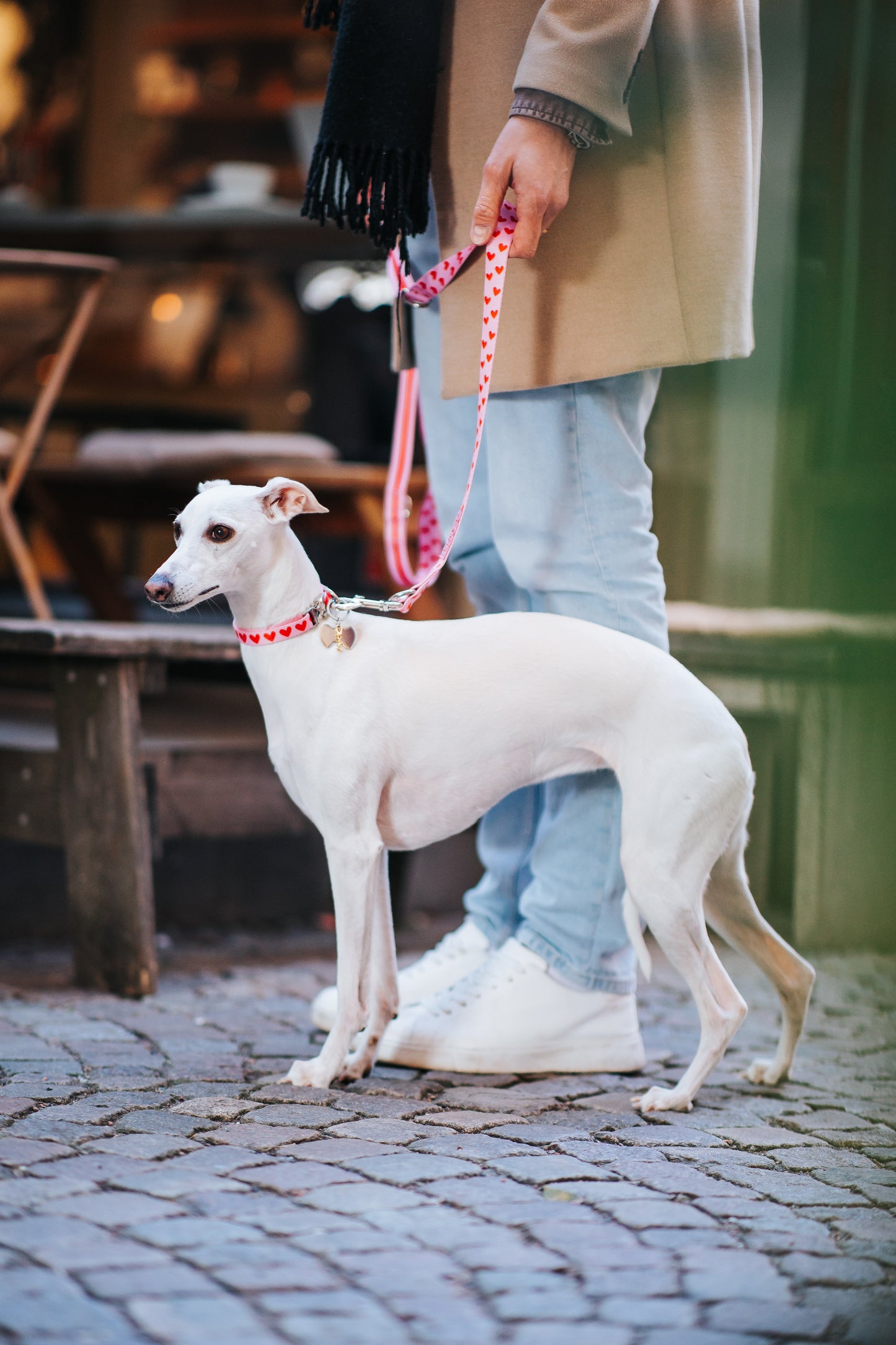 Heart Pattern Collar