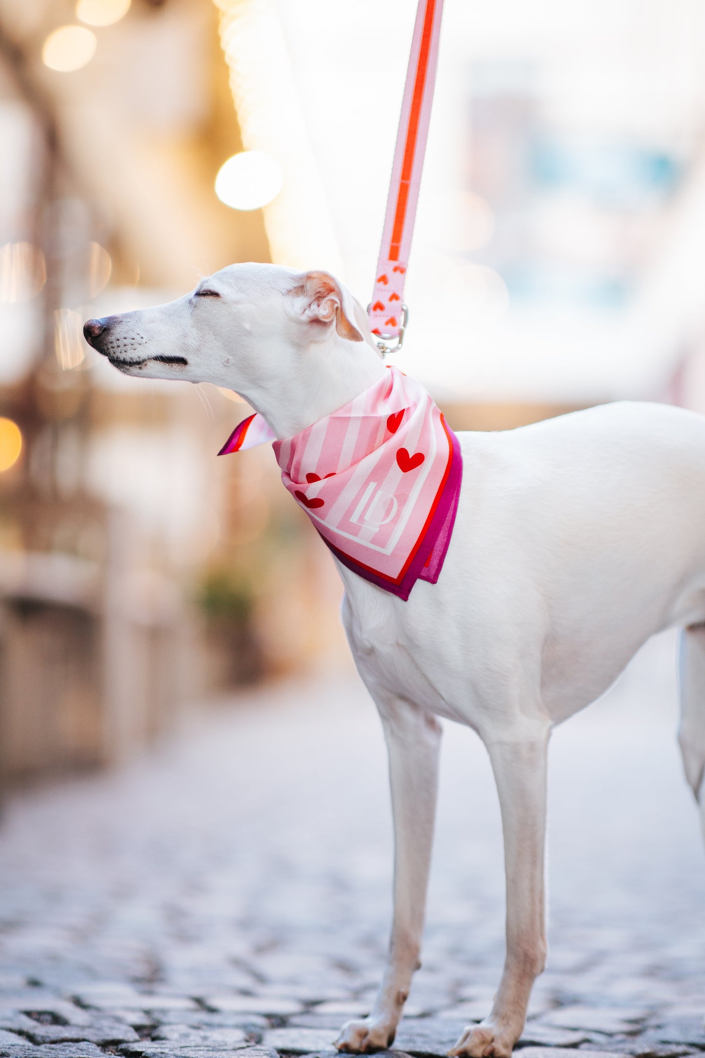 100% Mulberry Silk Scarf | For Dogs & Their Humans