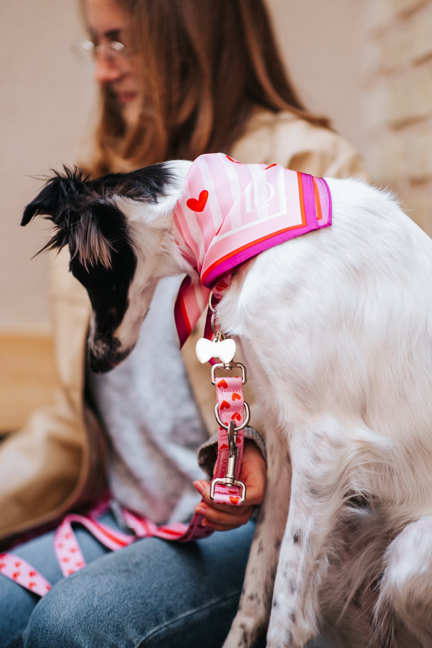 Bow Shaped Dog ID Tag
