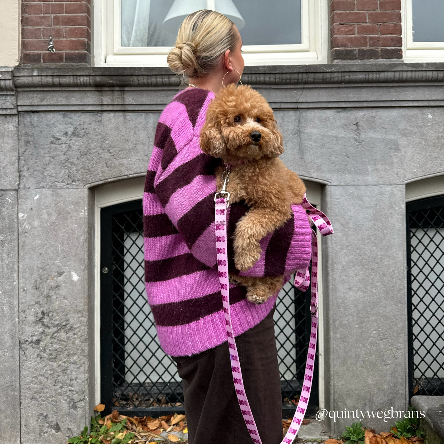Pink Teddy Adjustable Dog Leash | Hands-Free & City-Ready