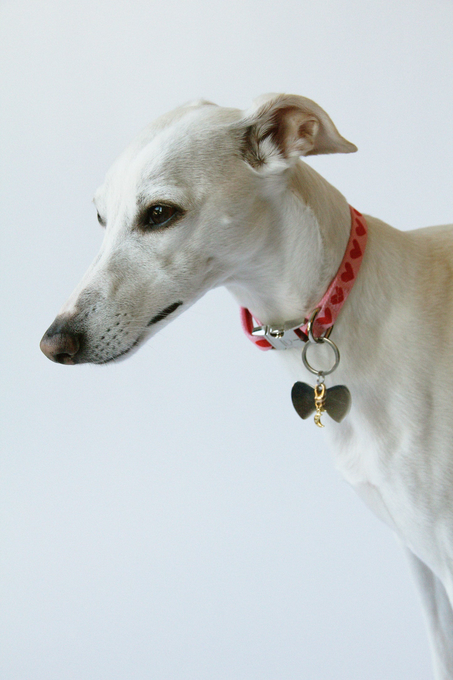 Heart Pattern Collar