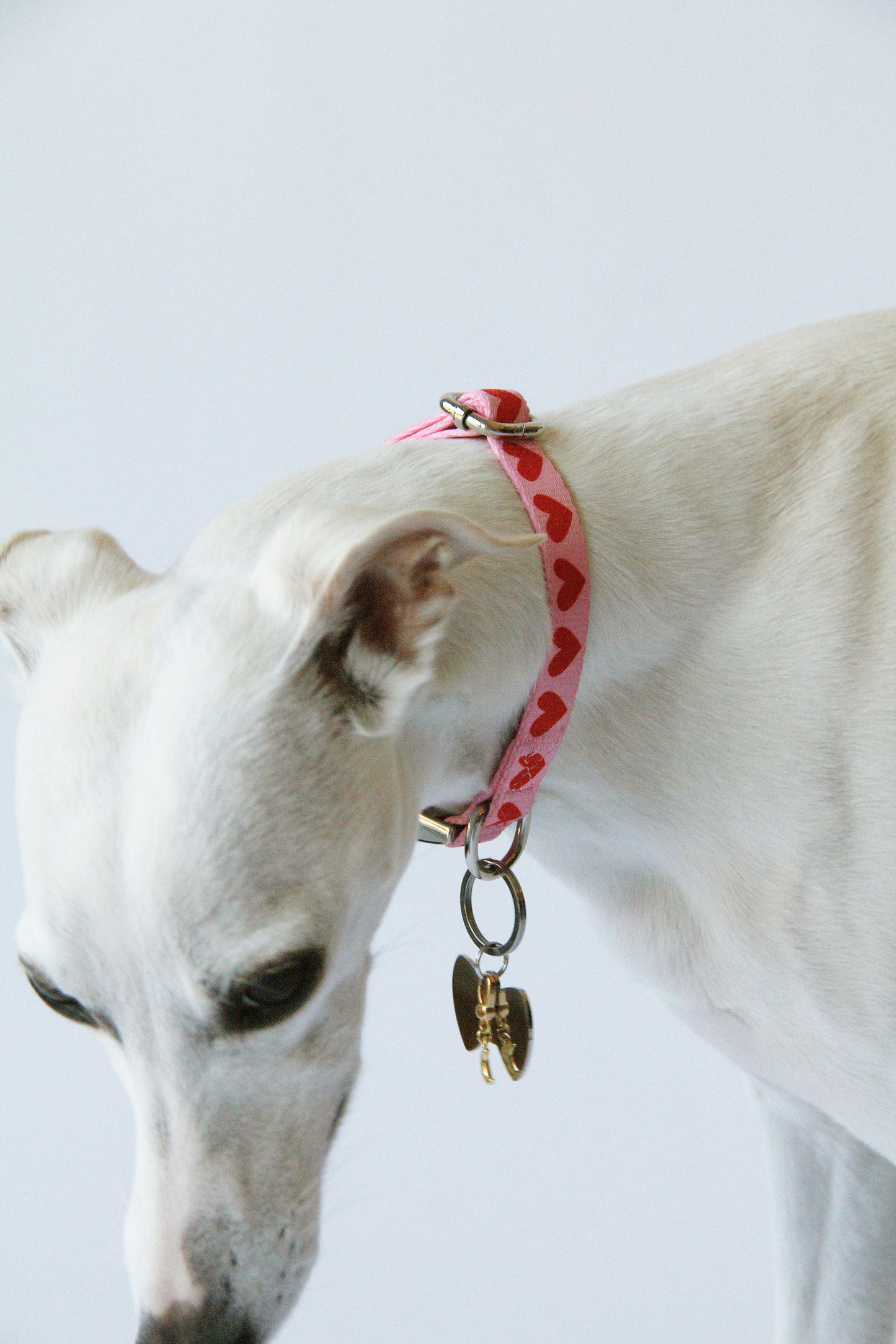 Heart Pattern Collar