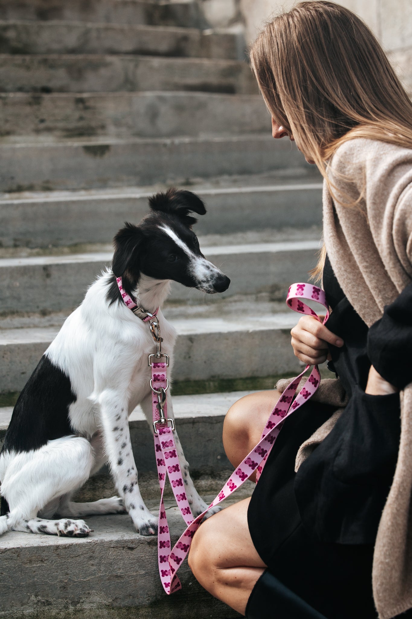 Pink Teddy Collar & Adjustable Leash Set