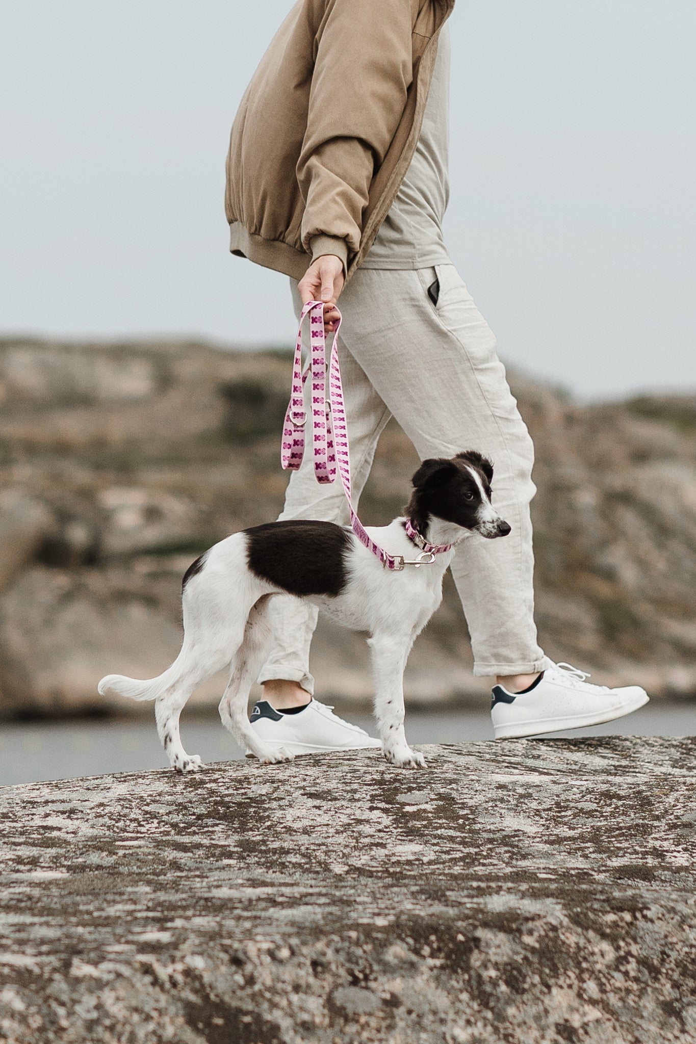Pink Teddy Collar & Adjustable Leash Set