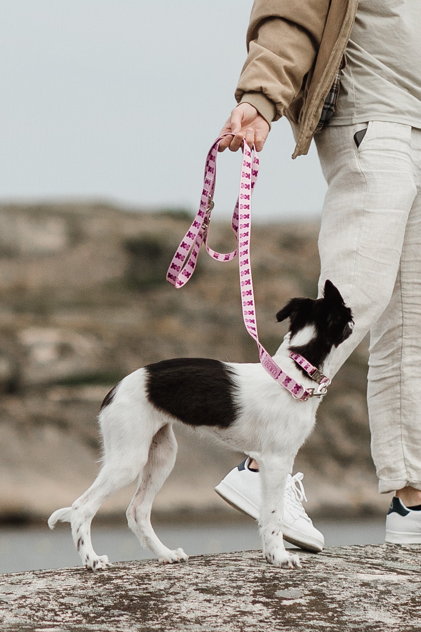 Pink Teddy Adjustable Dog Leash | Hands-Free & City-Ready