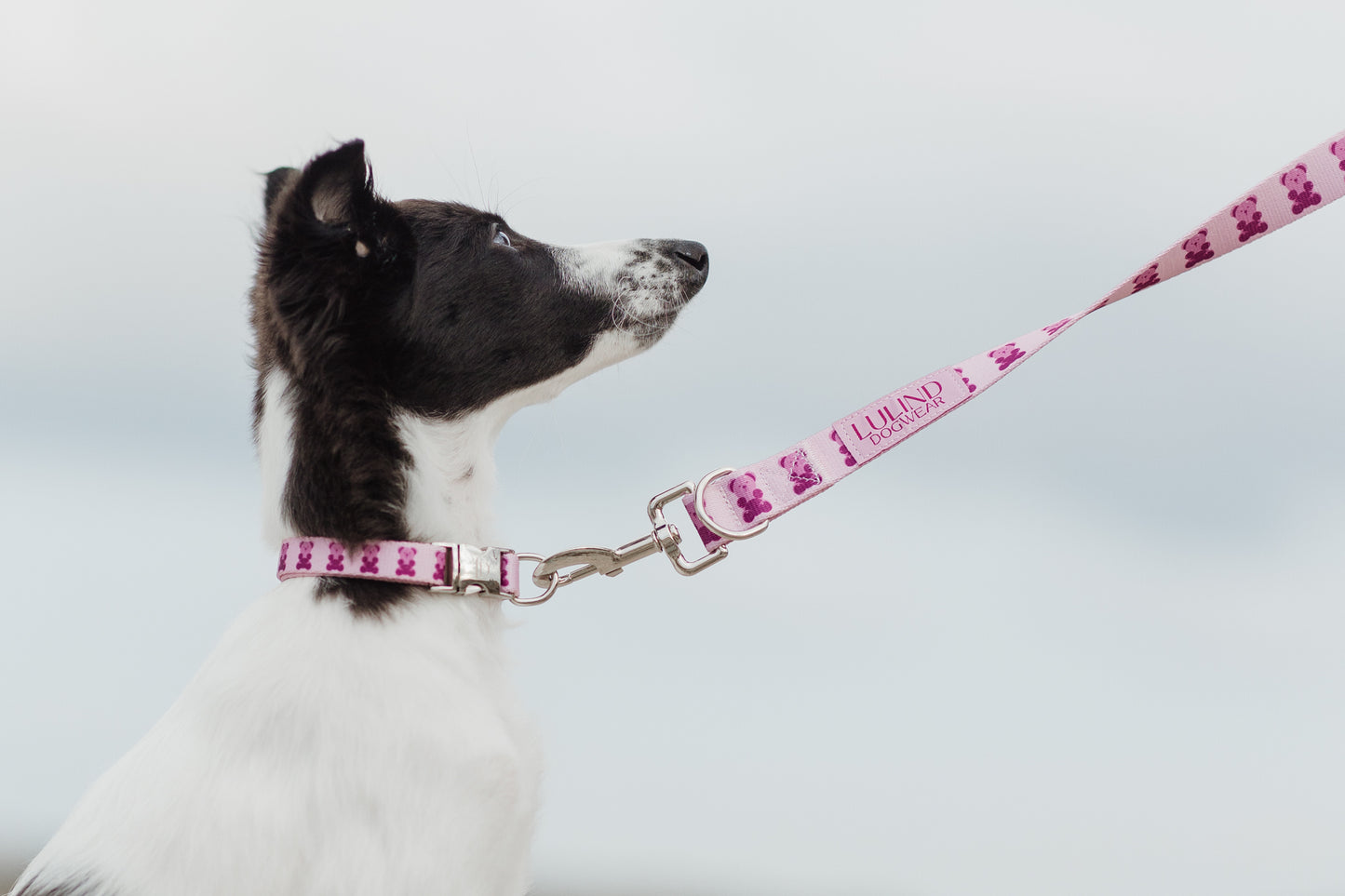 Pink Teddy Adjustable Dog Leash | Hands-Free & City-Ready