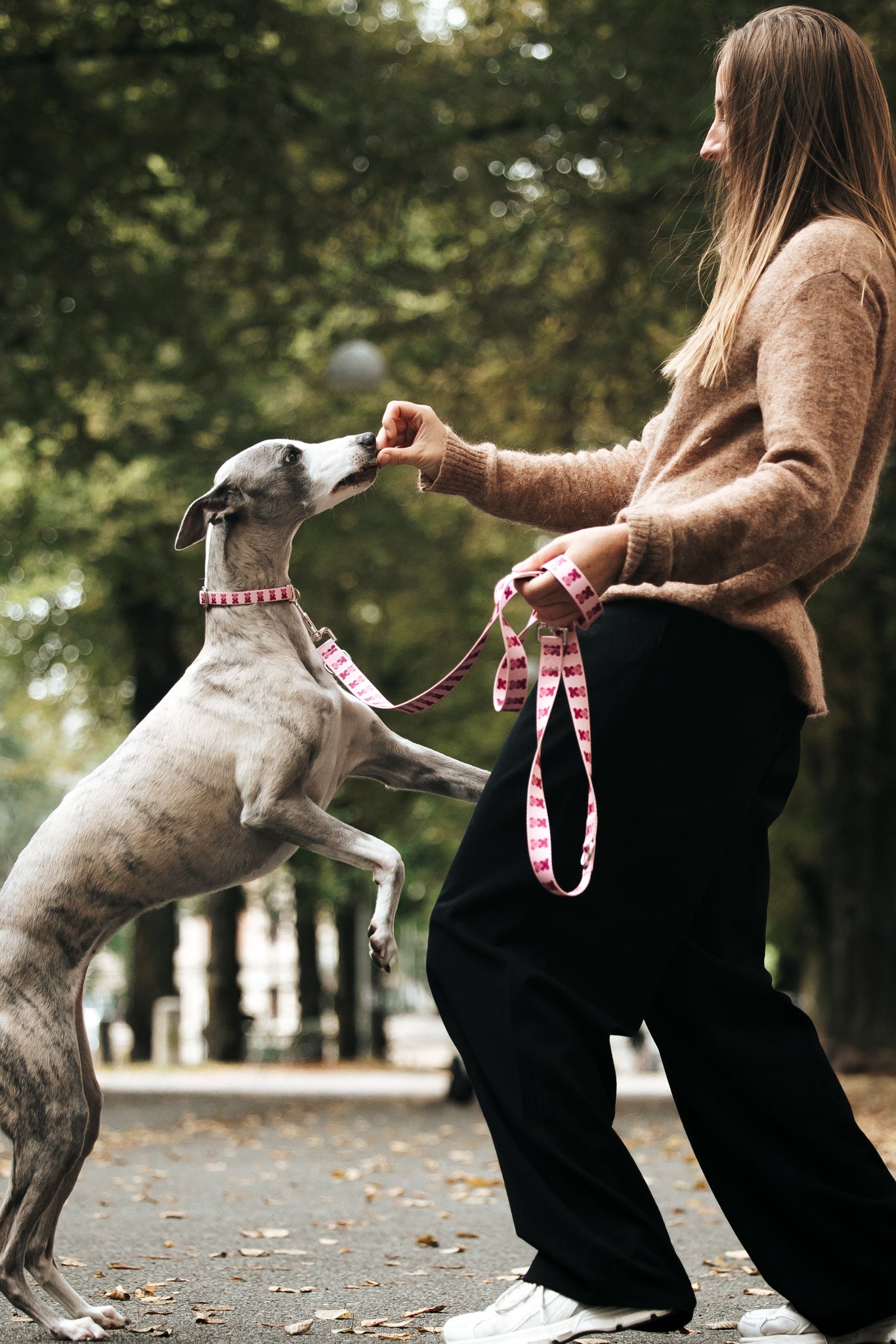 Pink Teddy Adjustable Dog Leash | Hands-Free & City-Ready