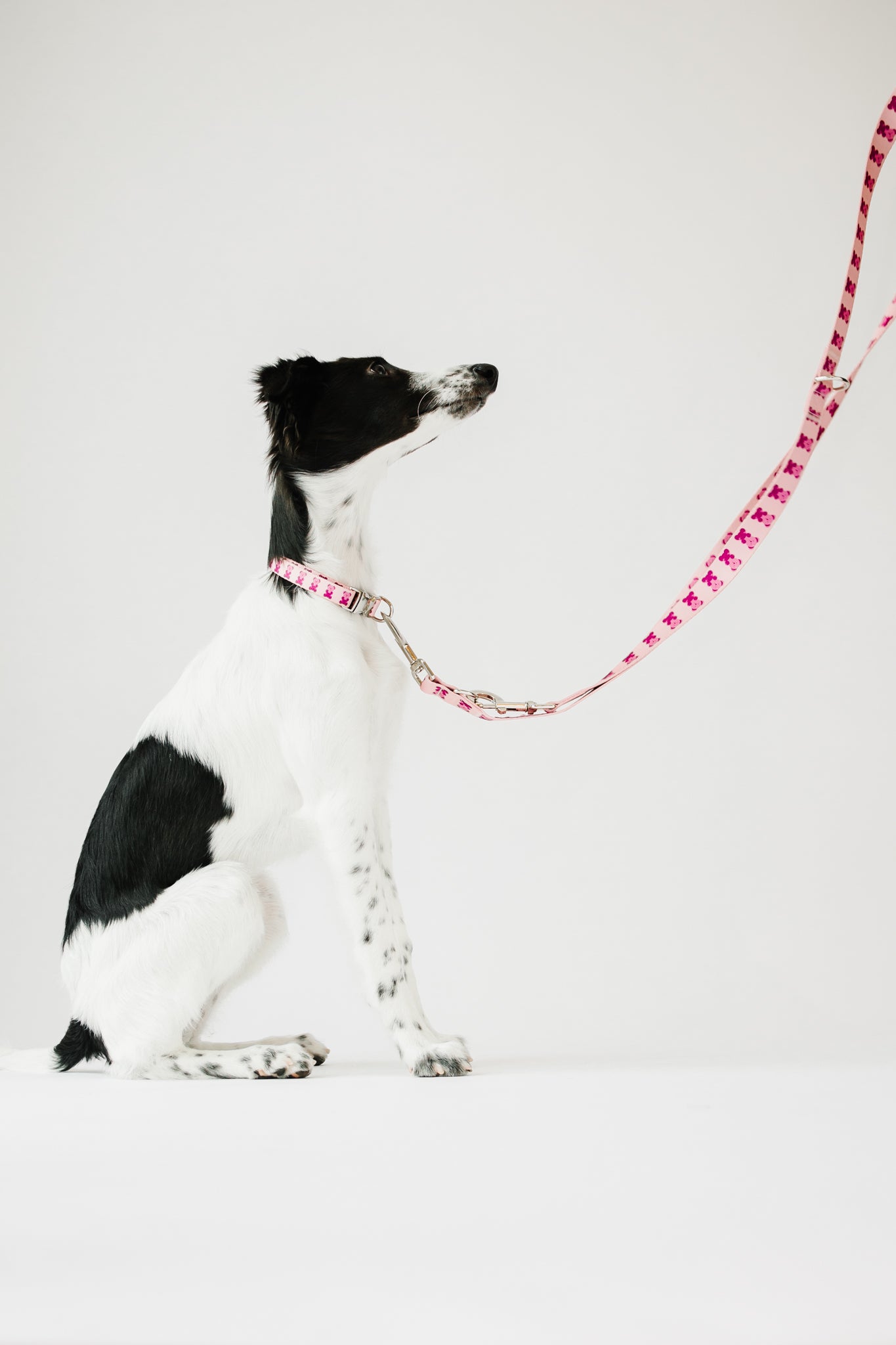 Pink Teddy Adjustable Dog Leash | Hands-Free & City-Ready