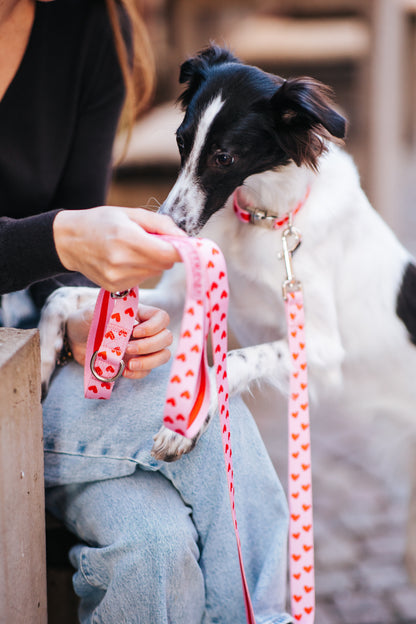 Heart Adjustable Dog Leash | Hands-Free & City-Ready