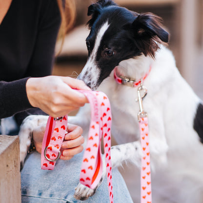 Heart Collar & Adjustable Leash Set