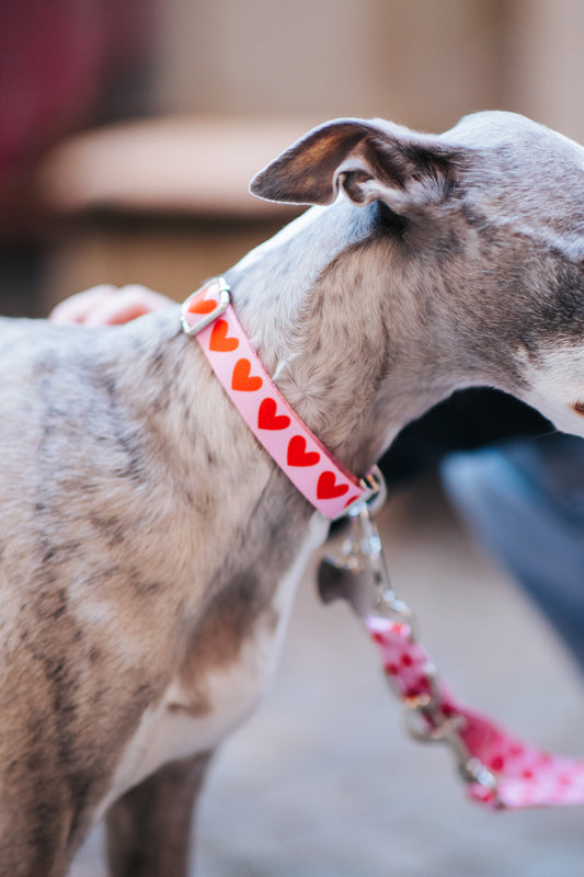 Heart Pattern Collar