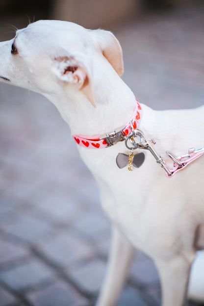 Bow Shaped Dog ID Tag
