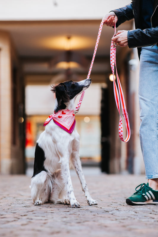 Heart Adjustable Dog Leash | Hands-Free & City-Ready