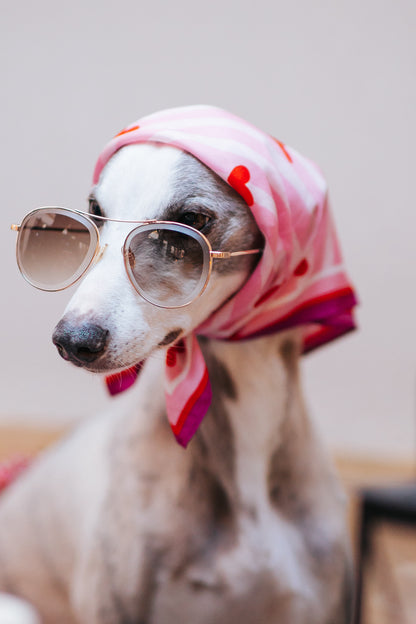 100% Mulberry Silk Scarf | For Dogs & Their Humans