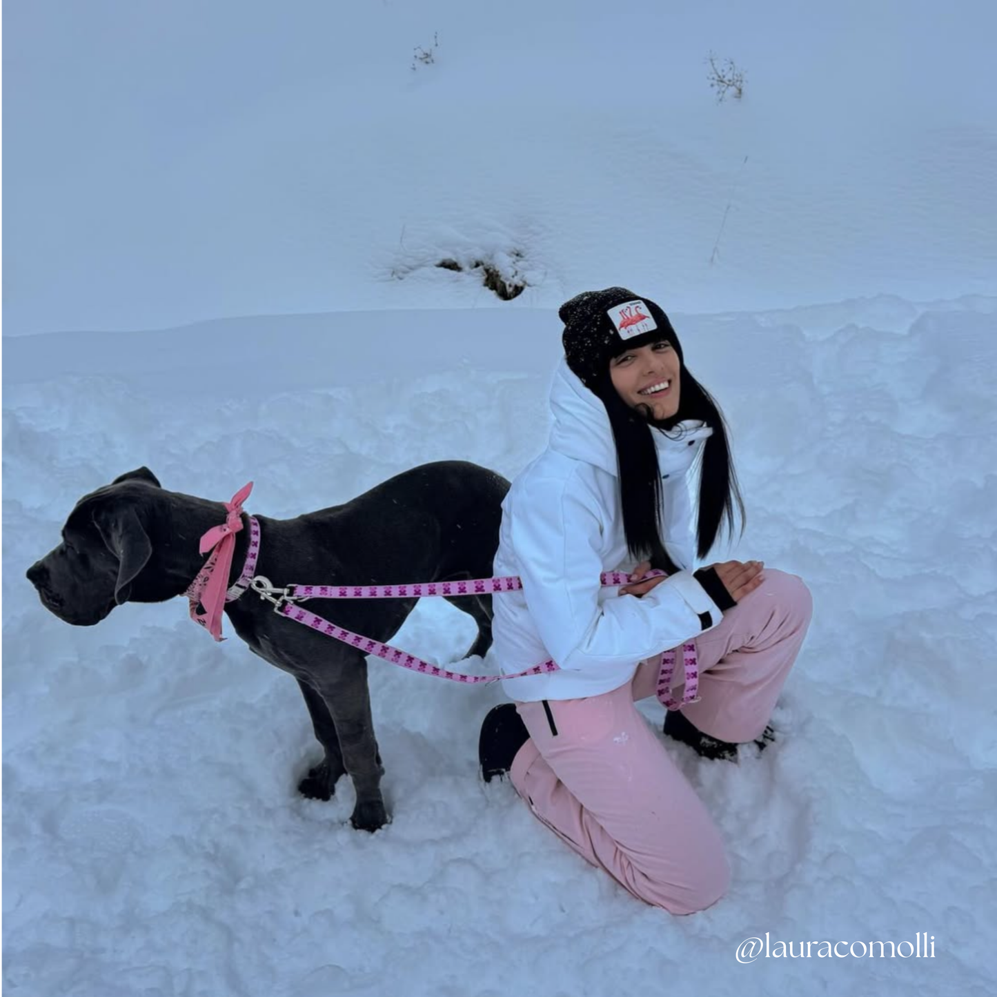 Pink Teddy Collar & Adjustable Leash Set