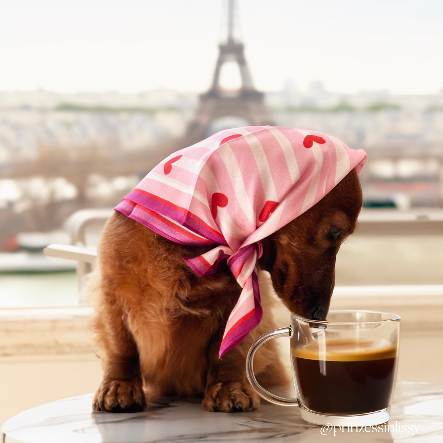 100% Mulberry Silk Scarf | For Dogs & Their Humans
