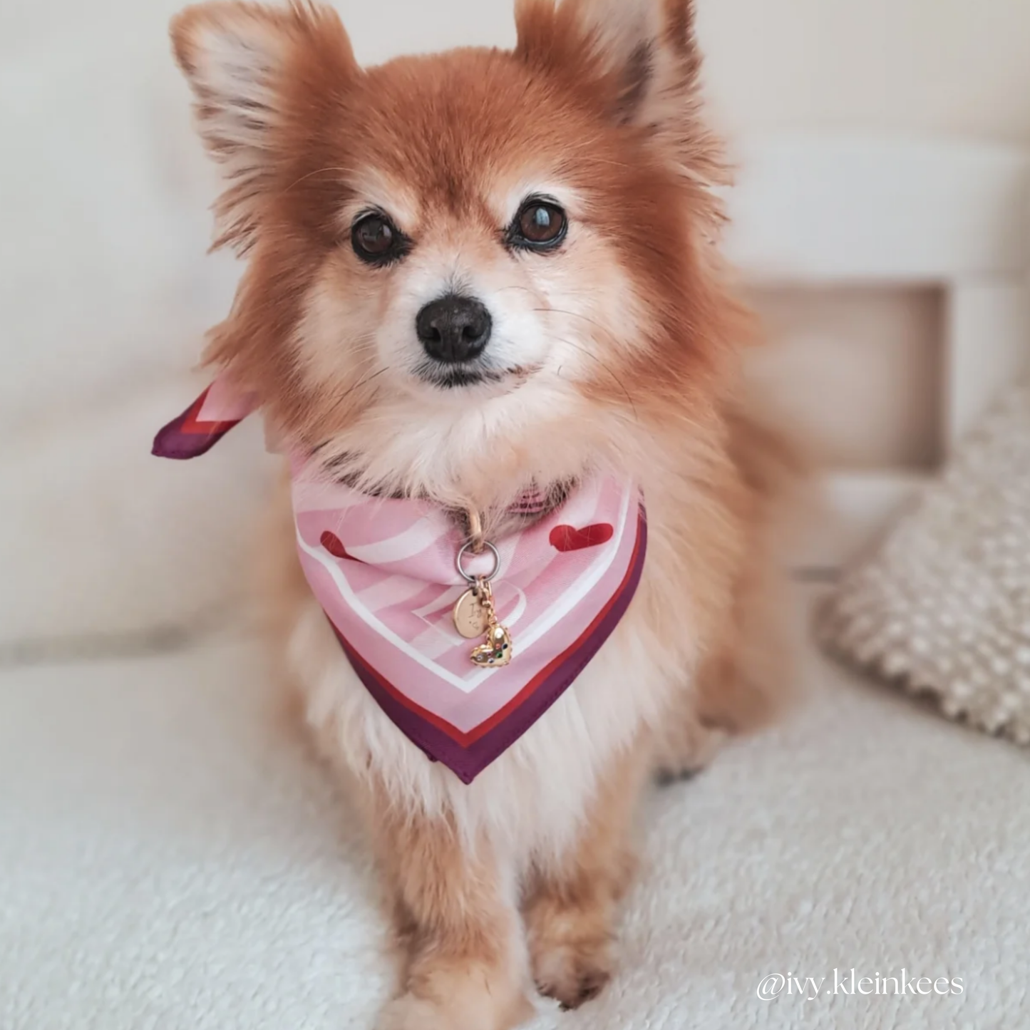 100% Mulberry Silk Scarf | For Dogs & Their Humans