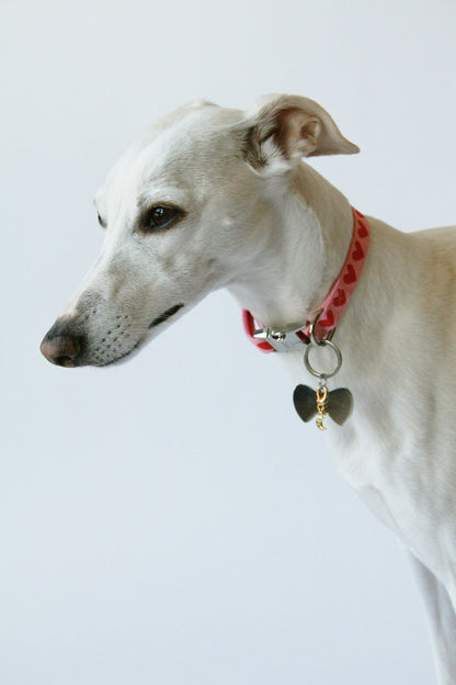 Heart Pattern Collar