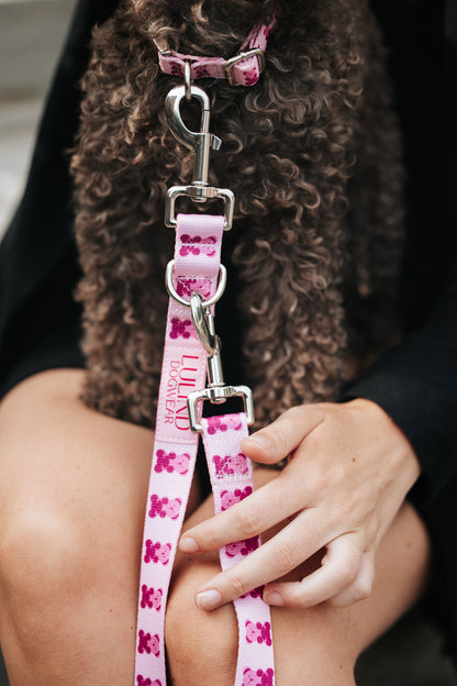 Pink Teddy Collar & Adjustable Leash Set