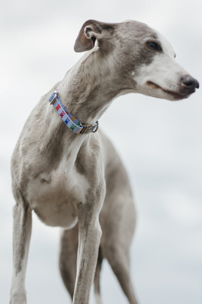 Blue Teddy Collar
