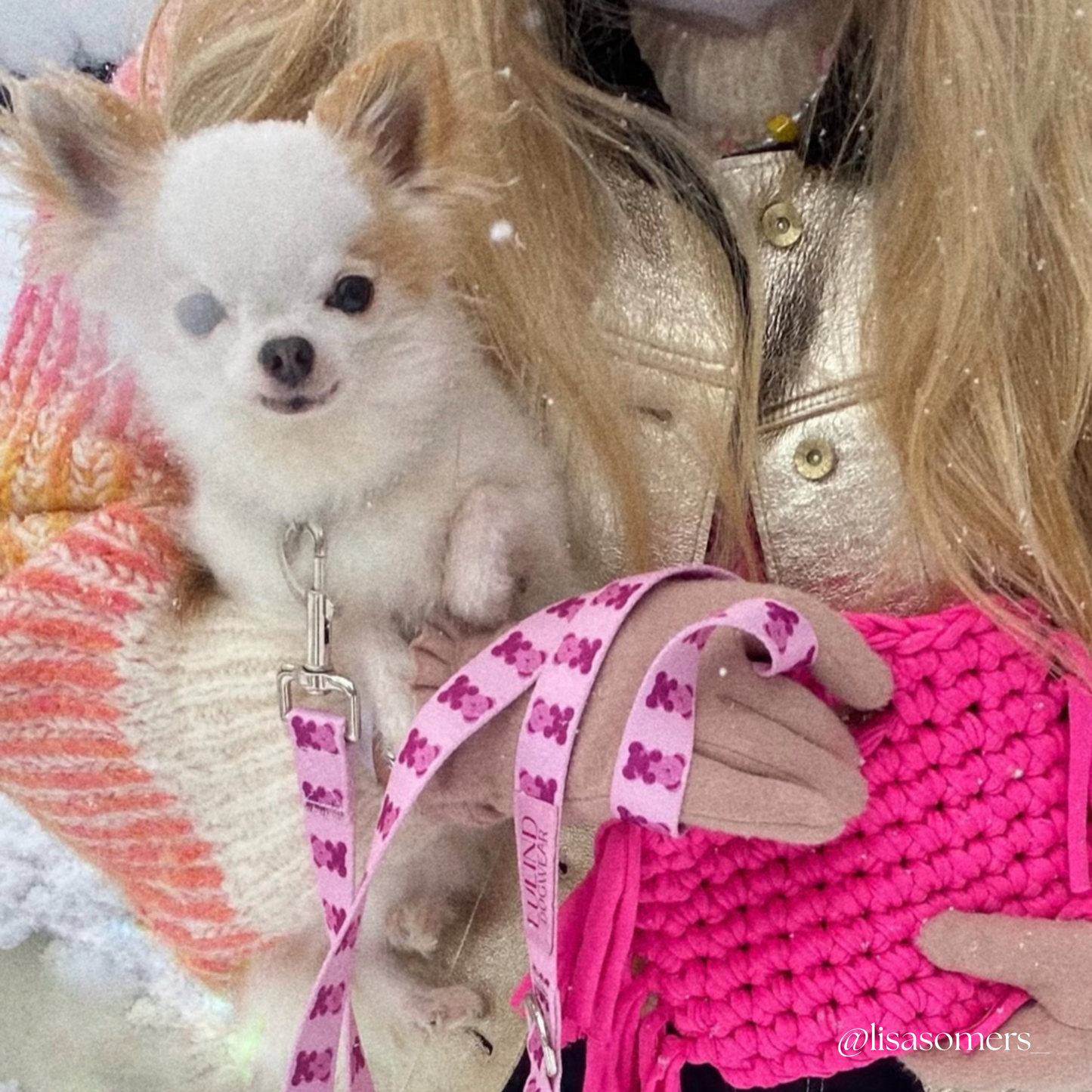 Pink Teddy Adjustable Dog Leash | Hands-Free & City-Ready