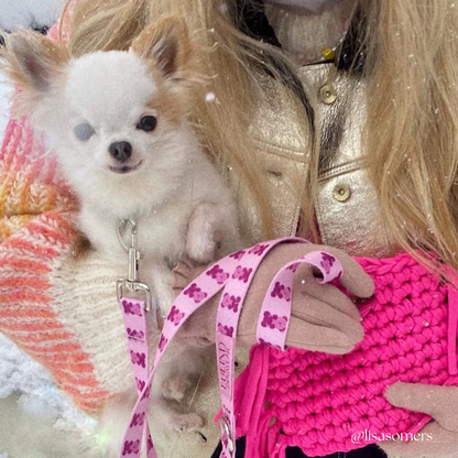 Pink Teddy Adjustable Dog Leash | Hands-Free & City-Ready
