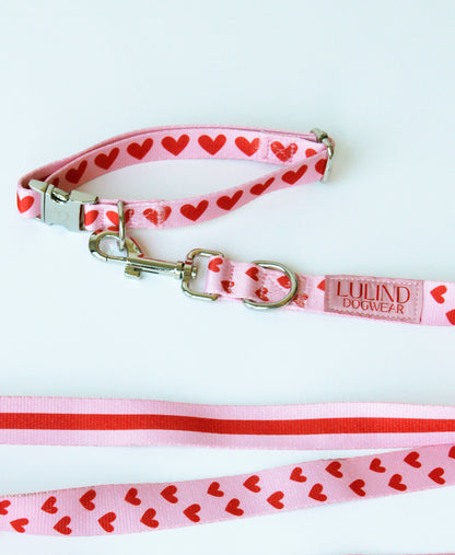 Heart Collar & Adjustable Leash Set