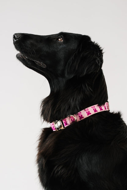Pink Teddy Collar